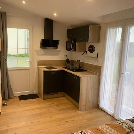Appartement En Bord De Loire Avec Terrasse Privative *