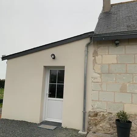 En Bord De Loire Avec Terrasse Privative Appartement *