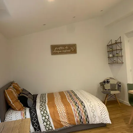 En Bord De Loire Avec Terrasse Privative Appartement